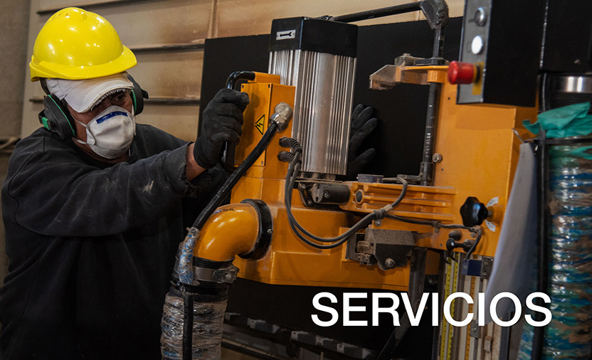 Servicios Placa Sur