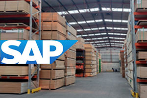 Implementación SAP